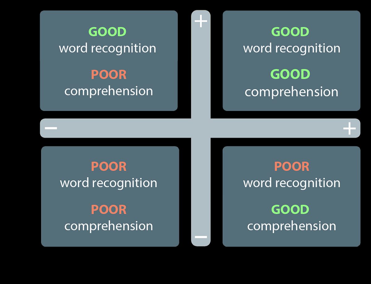 Literacy figure 2