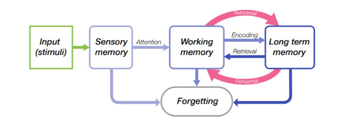 CSC Blog image 4