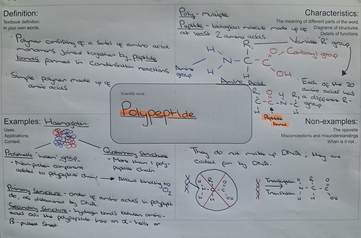 Frayer Grid practical
