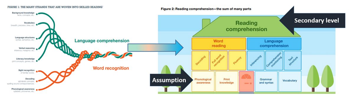 Literacy 1