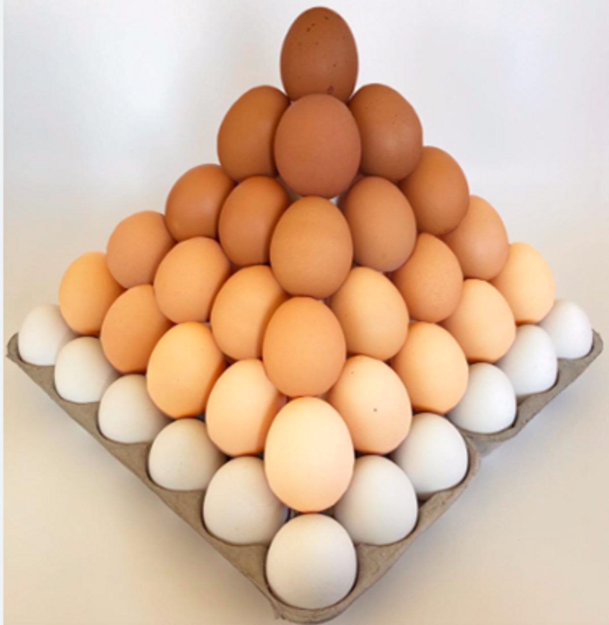 Eggs