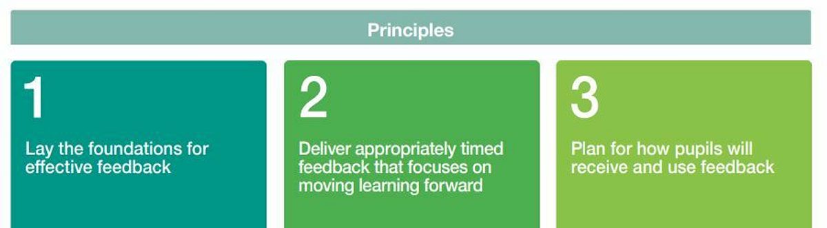 Principles feedback