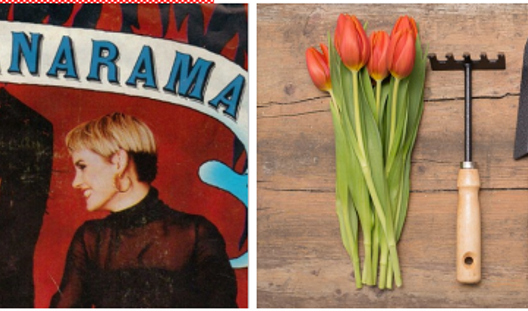Bananarama Meets Gardeners World