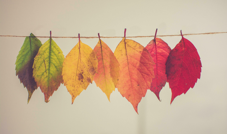 Changes chris lawton 5 I Hz5 Whos QE unsplash 2020 12 31 164618