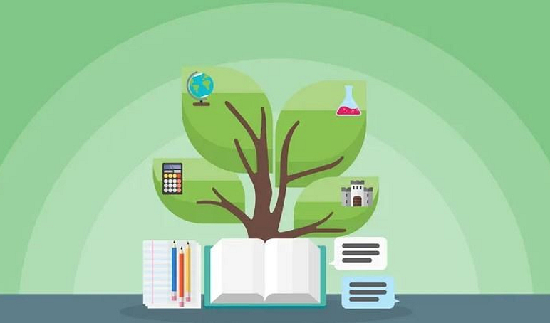 Disciplinary Literacy
