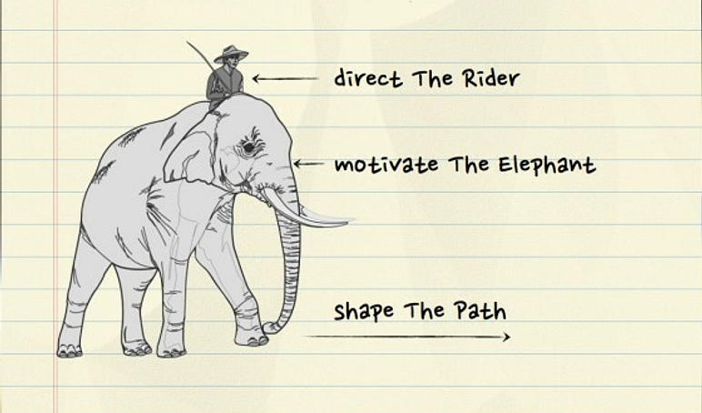 Rider