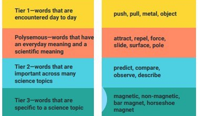 Sci vocabulary