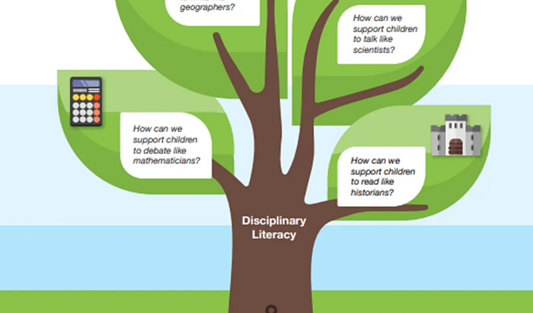 Secondary literacy