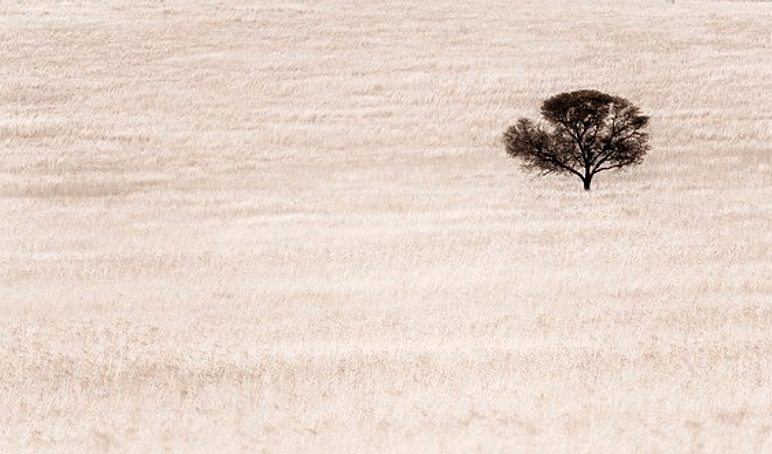 WHAT DOES DISADVANTAGE MEAN IN MATH visual data 3