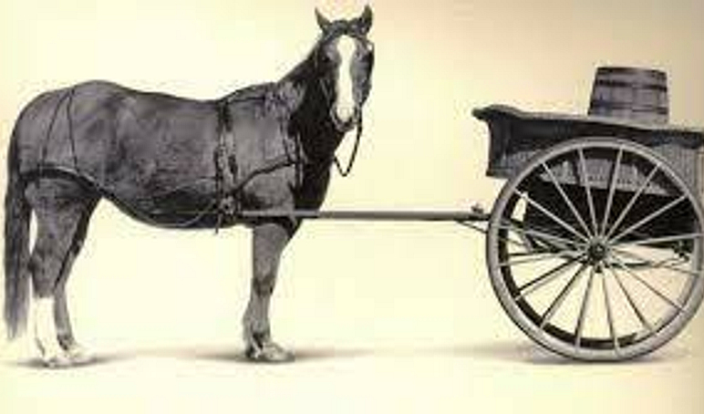 Cart before the horse