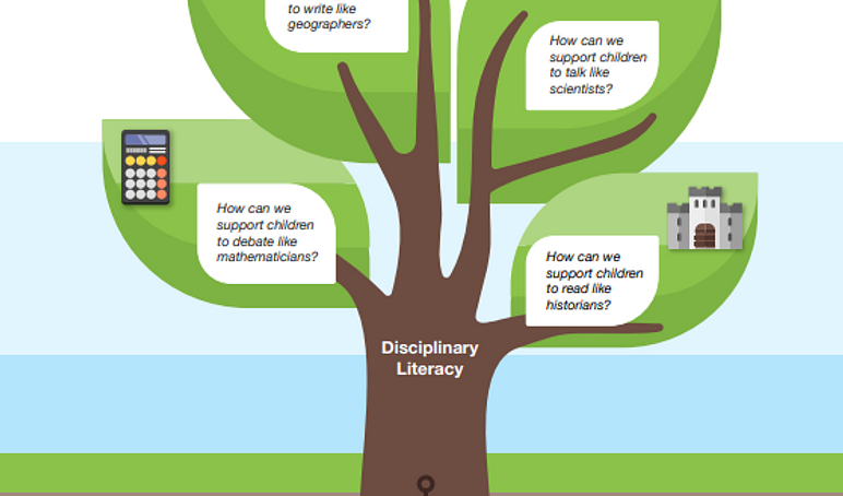 Disciplinary literacy