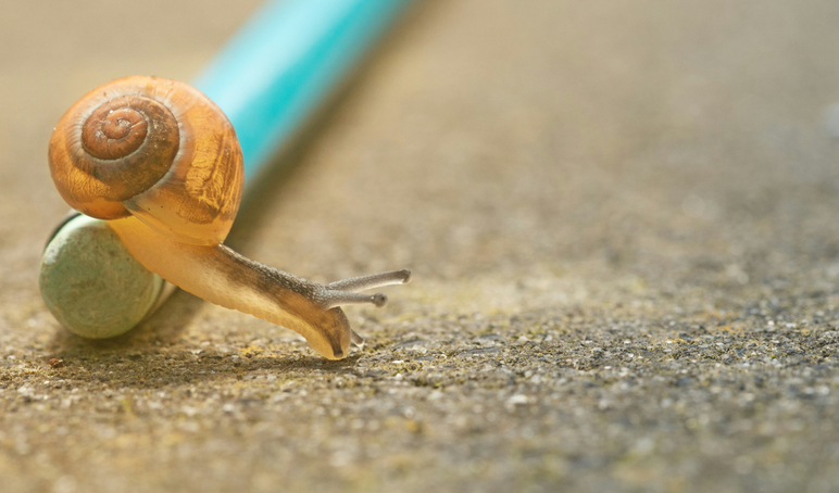 Pascal van de vendel J3pk J Fnp Dk M unsplash