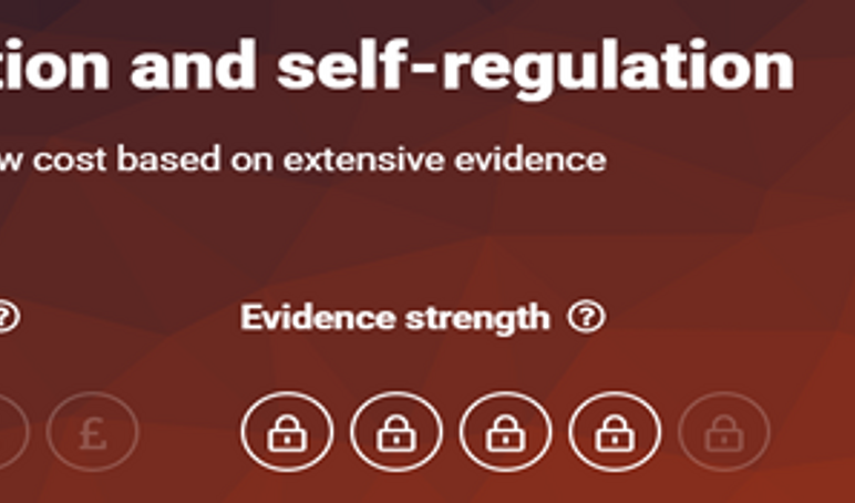 Strapline