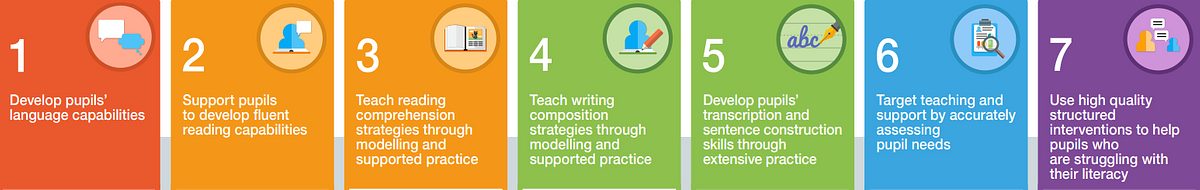 Data and Literacy Lever Points