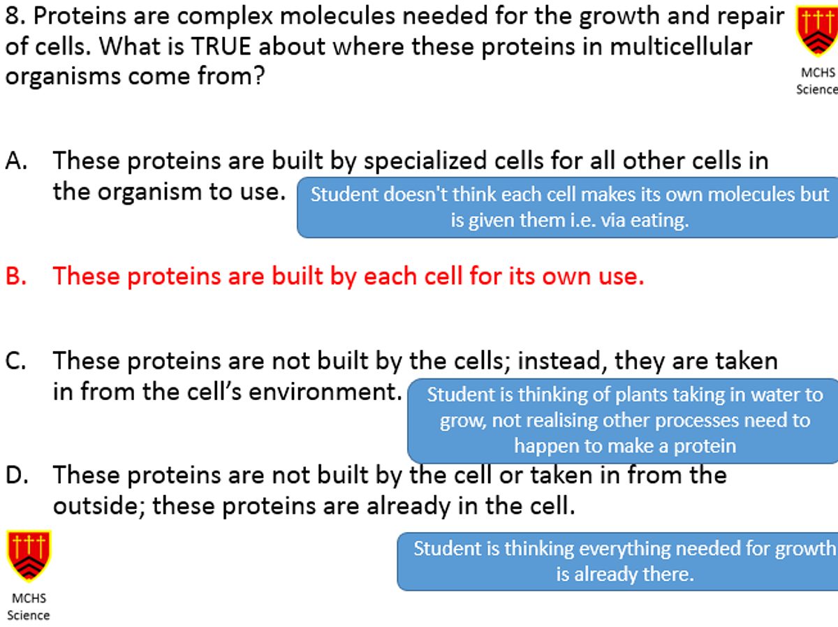 Diagnostic Question Example