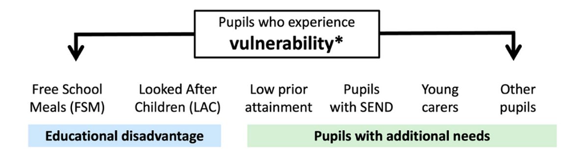 Image 4 pupils vulnerability