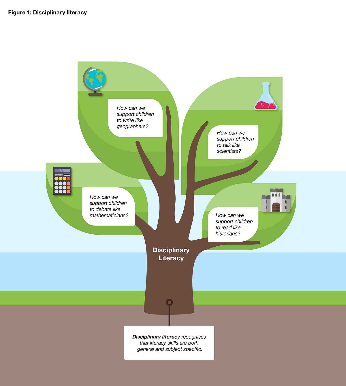 KS 3 4 Lit Figure 1 Disciplinary photosynthesis