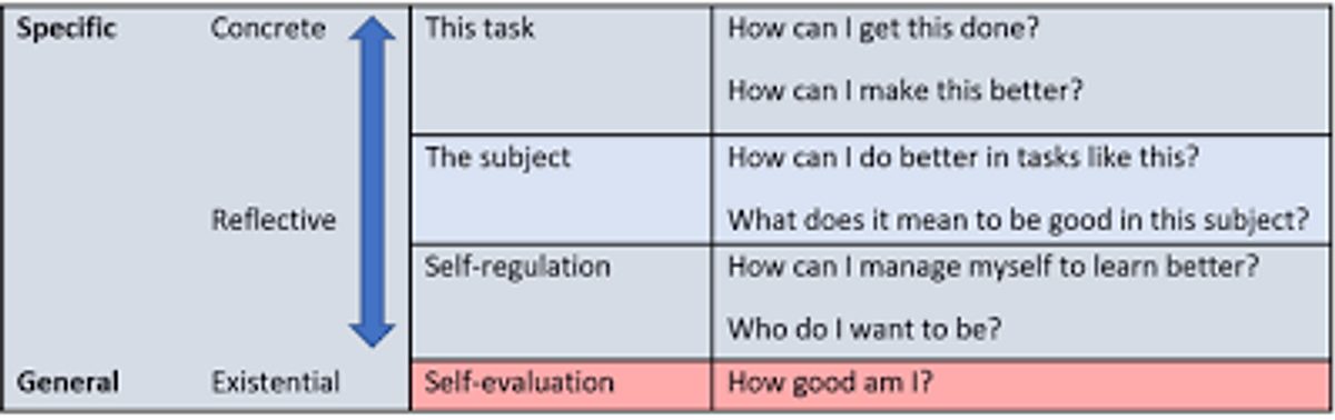 Levels of feedback