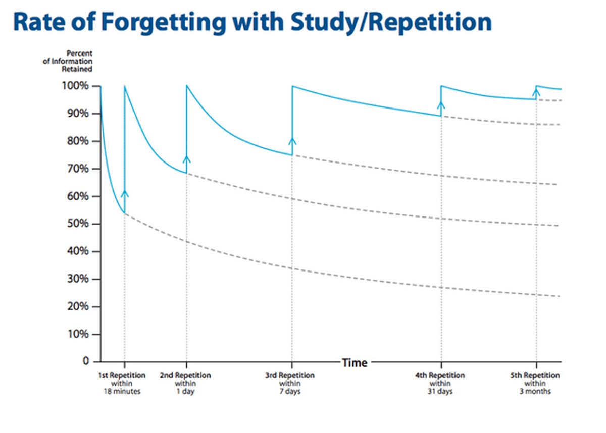 Rate of forgetting with study repetition