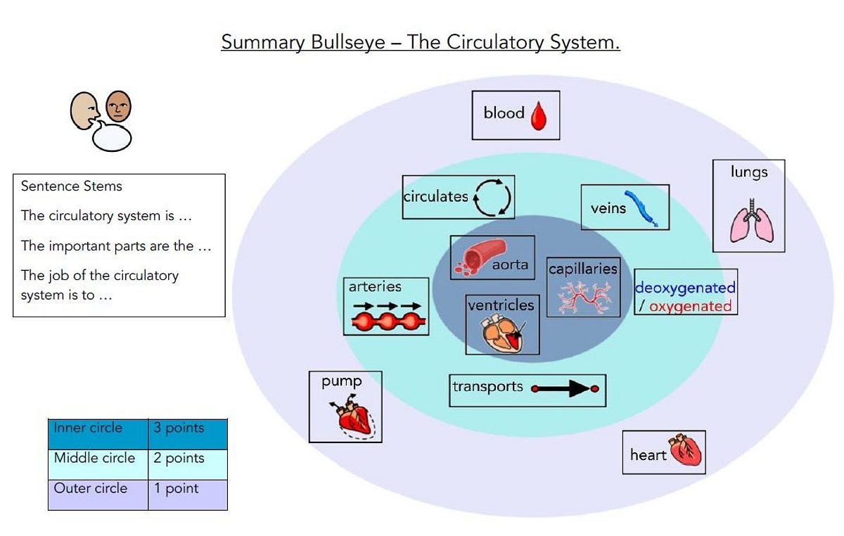 Summary Bullseye