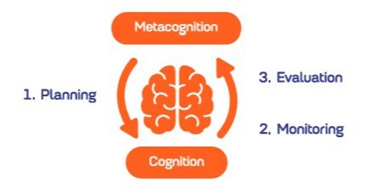 Metacognitive cycle