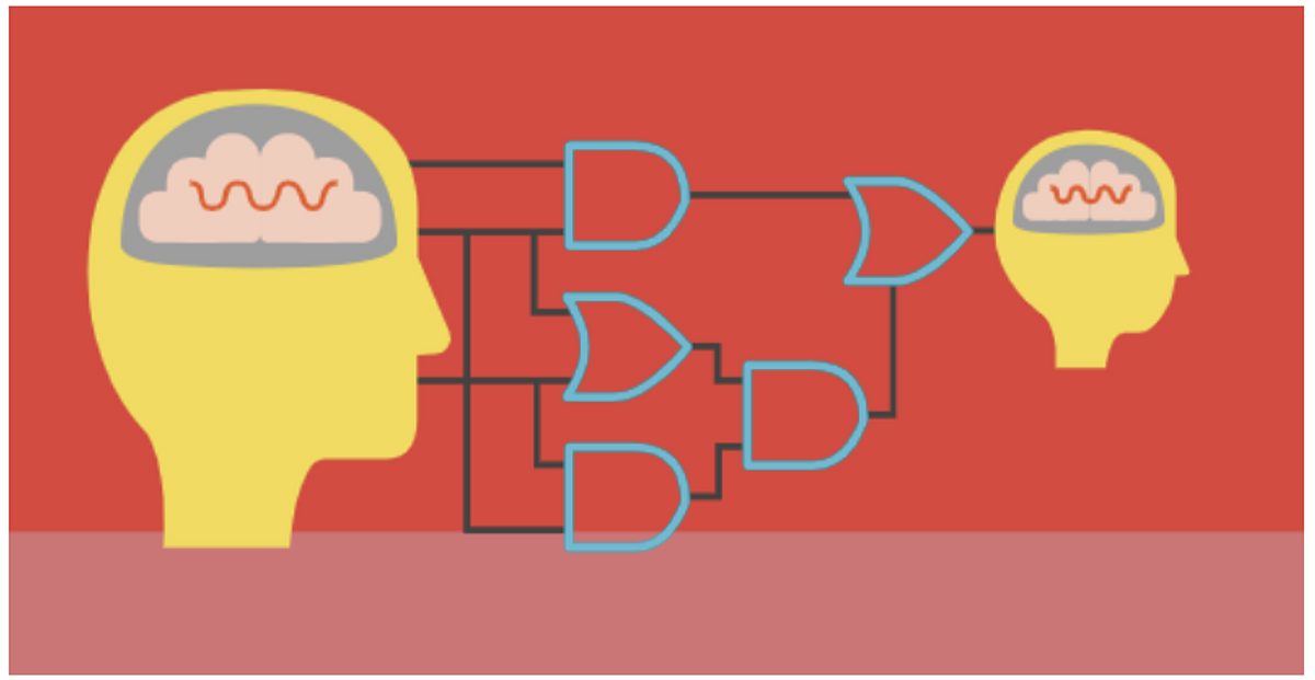 Brain