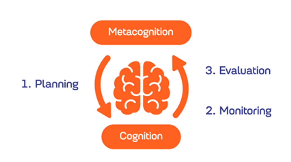 Brain