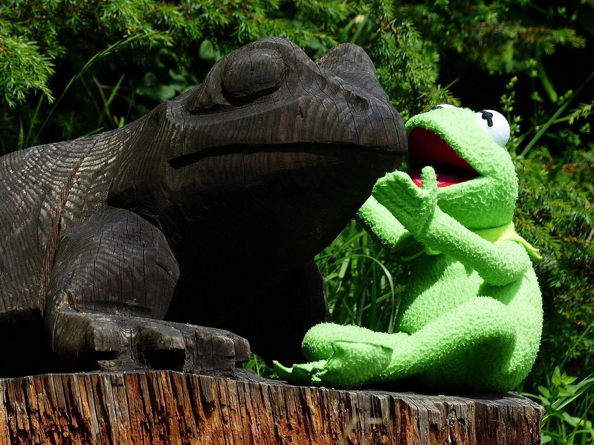 Kermit 167444 1280