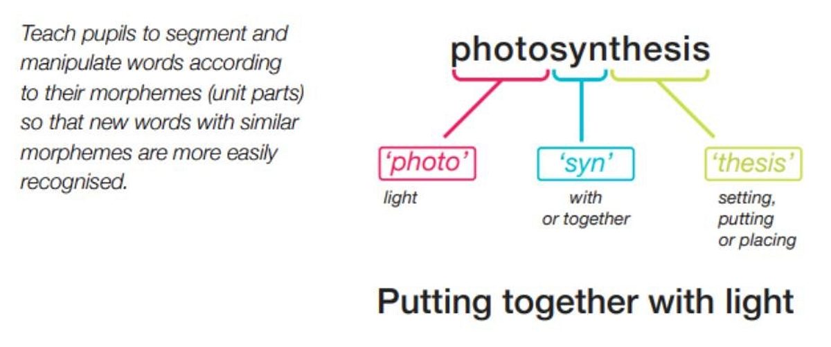 Photosynthesis