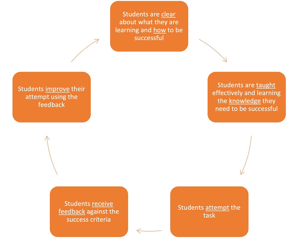Student feedback cycle
