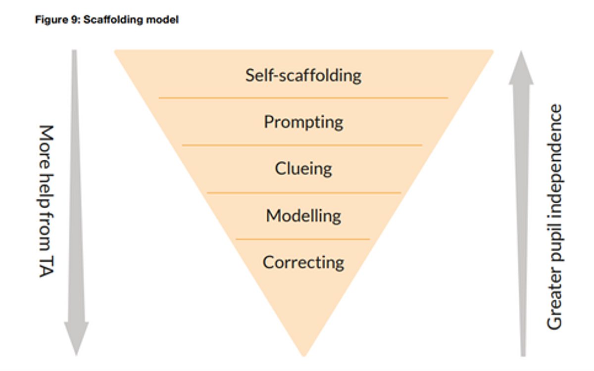 Scaffolding