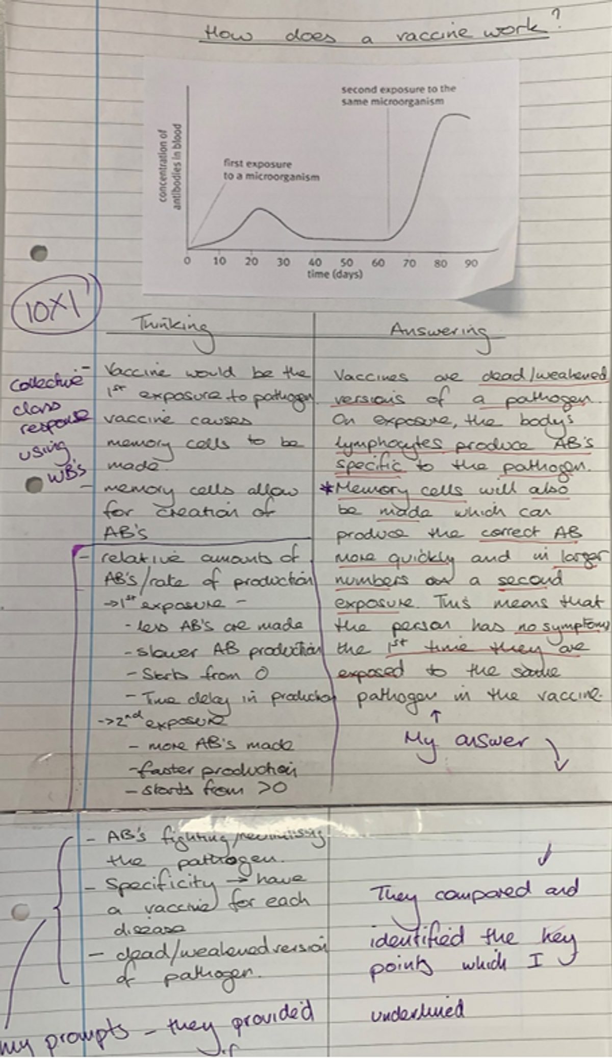 Teacher example