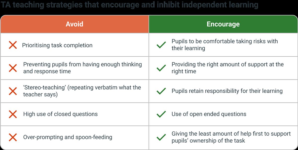 Teaching assistants teaching strategies
